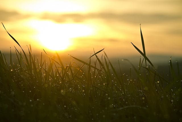 Sermon: A New Lens