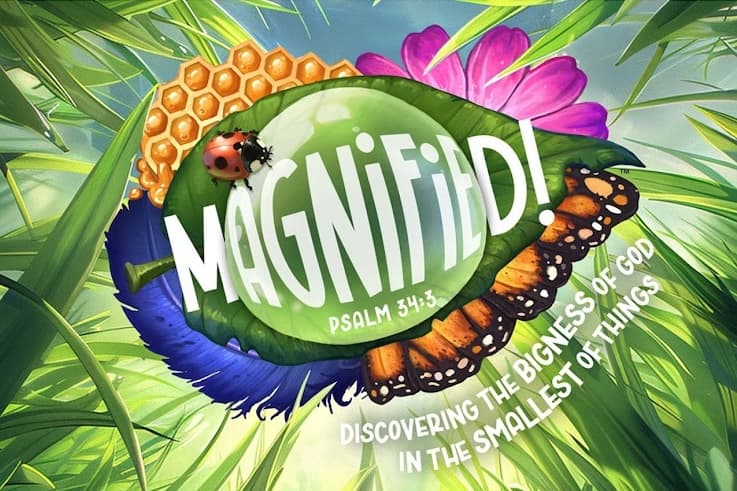 Magnified VBS Adventure